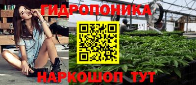 шишки Малоярославец