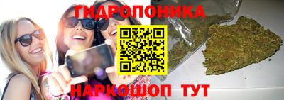 сатива Мариинск