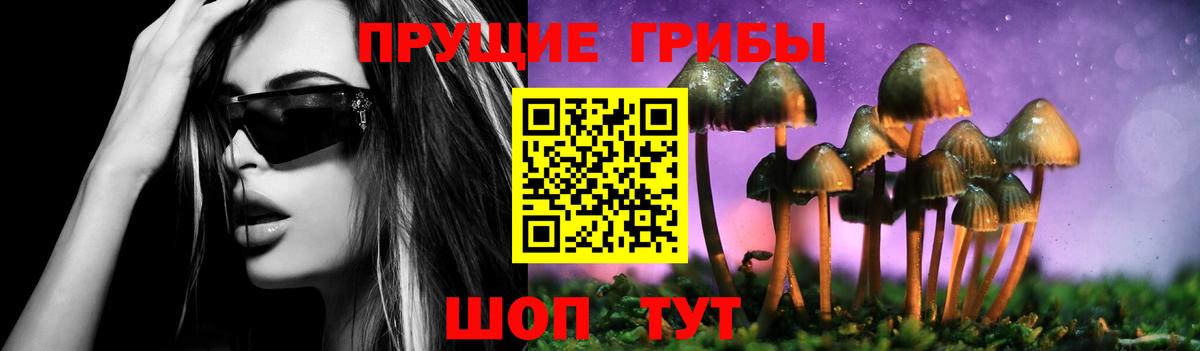 Галлюциногенные грибы мухоморы  Псилоцибиновые грибы прущие грибы  Вход с VPN  Сургут 